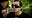 avatar BossDeBoss