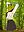 avatar GicuR