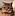 avatar Gliu