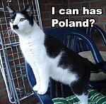 avatar Hitler