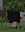 avatar Informaticianu