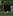 avatar Informaticianu