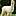 avatar King_Of_Alpacas