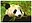 avatar MinhChau257
