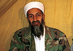 avatar OsamaBinBombin