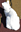 avatar Patrick_