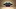 avatar Rares_OLM