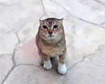 avatar Sasha_12454