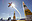 avatar VicThor1999