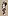 avatar agent_zebra54