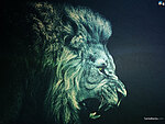 avatar blackey