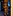 avatar continfo123