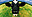 avatar inacioata