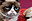 avatar kappa39