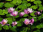 avatar mihai9913