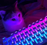 avatar mrvalentyn