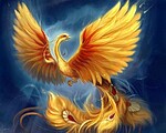 avatar popashtefan1