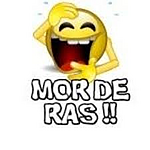 avatar preever