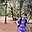 avatar raducostache