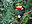 avatar walter_matei